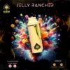 Ace Jelly Rancher Vape 2g kaufen