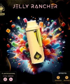 Ace Jelly Rancher Vape 2g kaufen