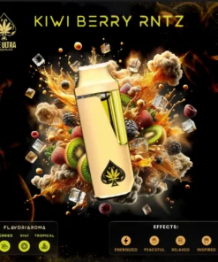 Ace Kiwi Berry Rntz THC Vape kaufen