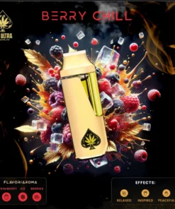 Ace Berry Chill Vape 2G kaufen